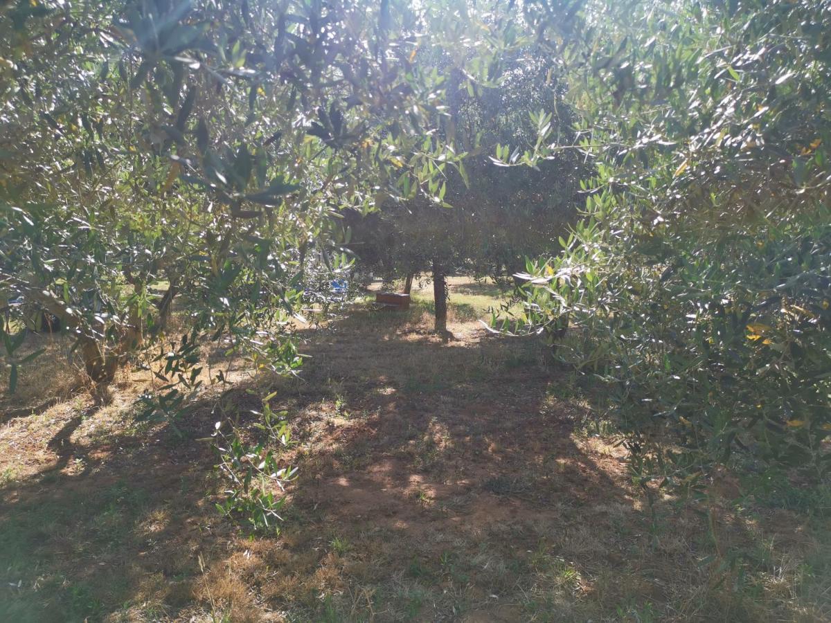Jacuzi Cottage In The Olive Grove Pula Exterior photo