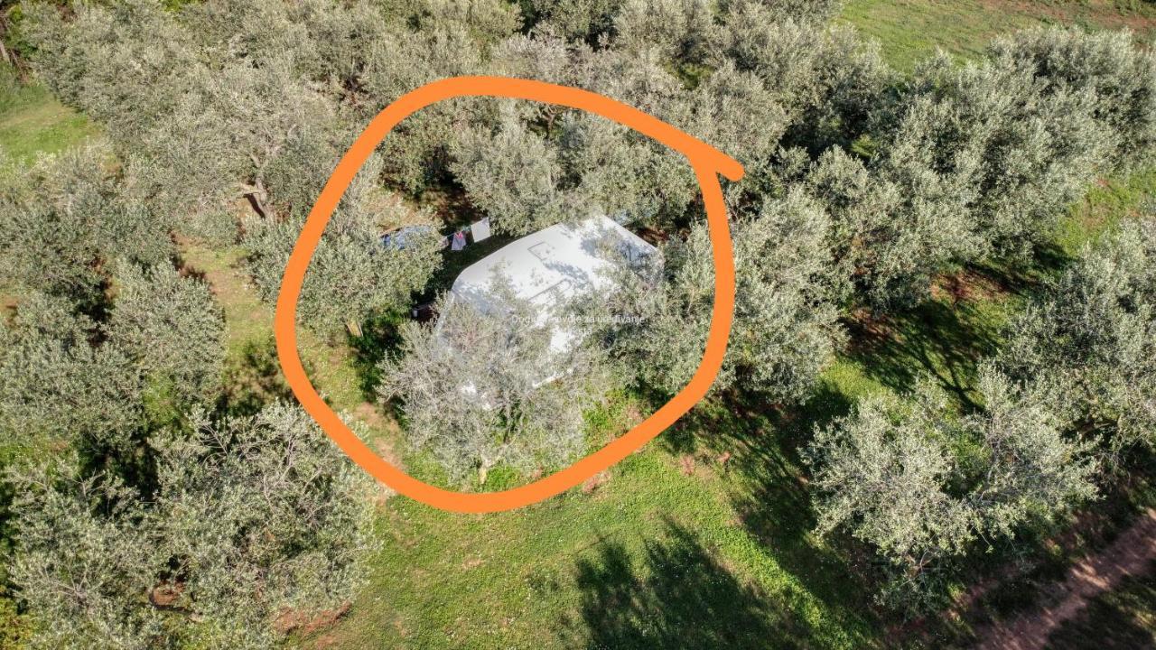 Jacuzi Cottage In The Olive Grove Pula Exterior photo